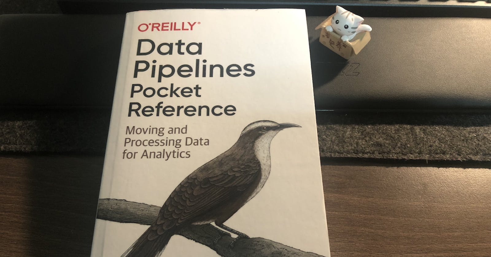 รีวิวหนังสือ "Data Pipelines Pocket Reference: Moving and Processing Data for Analytics"