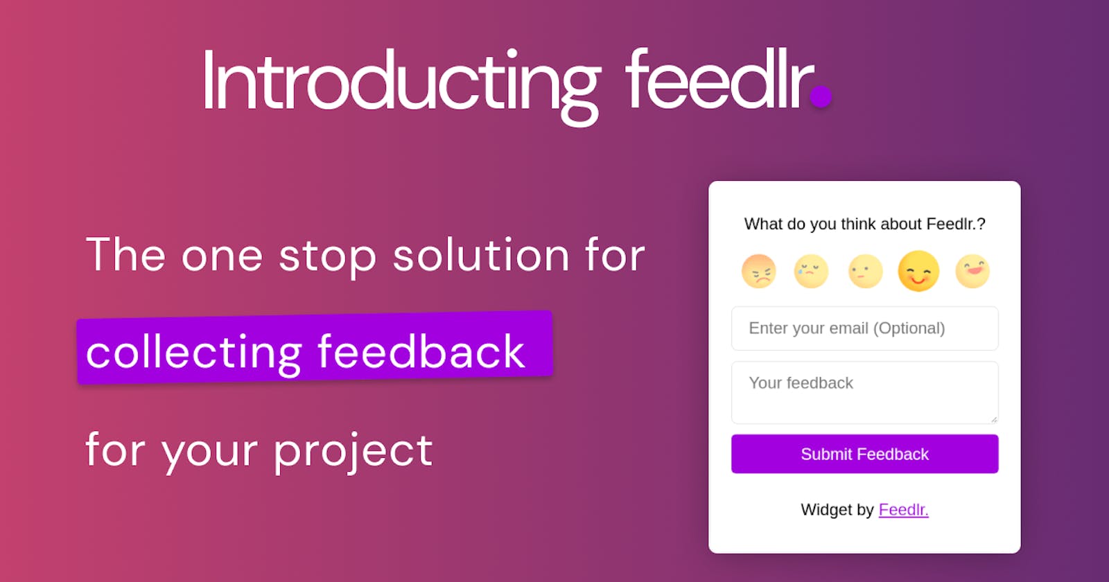Introducing Feedlr. - the ultimate tool for feedback collection.