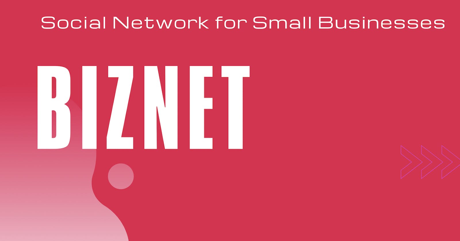 Introducing BIZNET: A Social Network for Small Businesses
