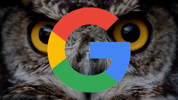 Project Owl