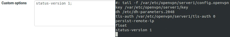 Using OpenVPN Custom Options.png