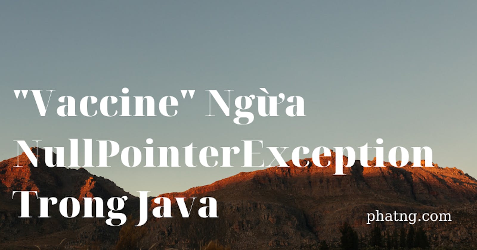 "Vaccine" ngừa NullPointerException trong Java