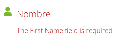 The First Name field is required 2.png