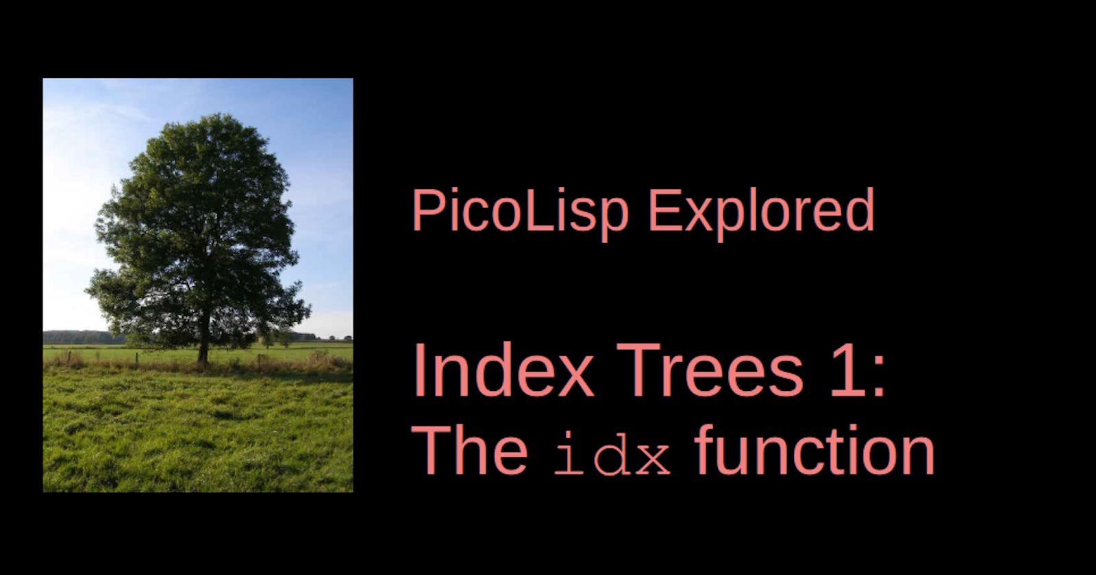 PicoLisp Explored: The idx function