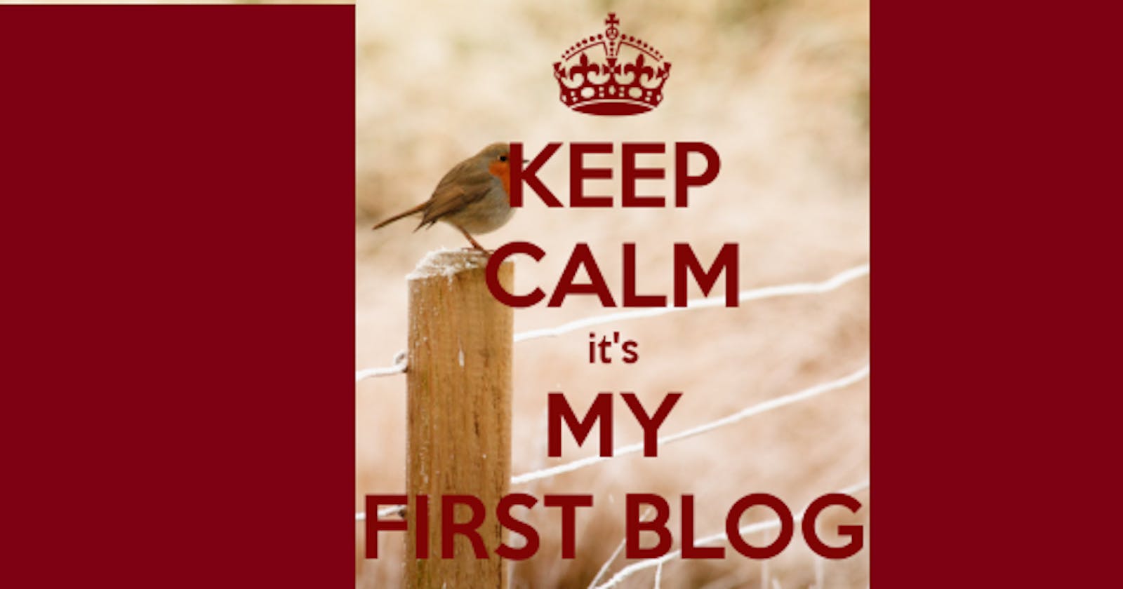 Why starting a blog?