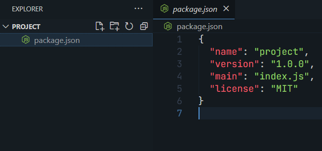 package_json_created.PNG
