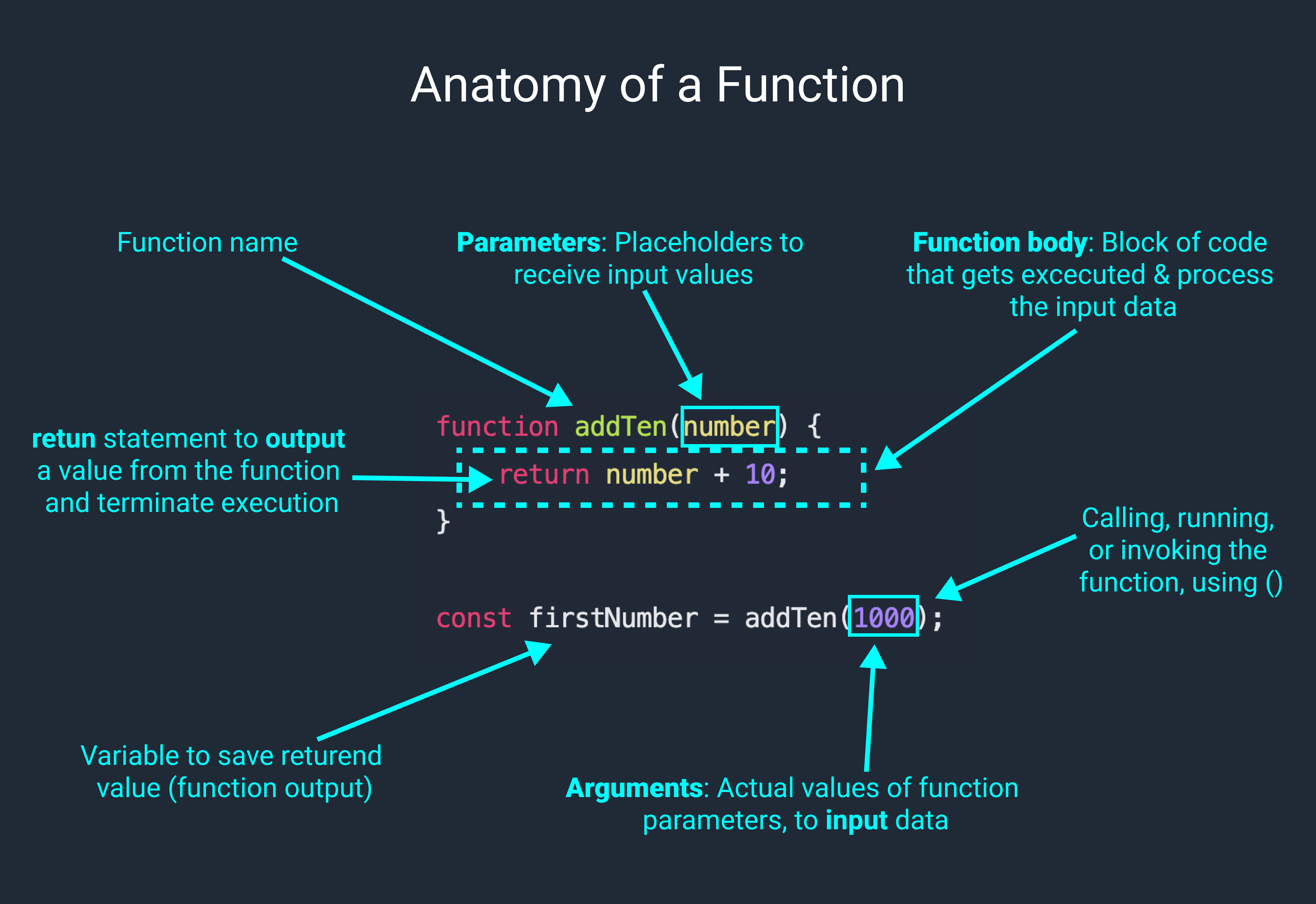 Anatomy of Function.jpg