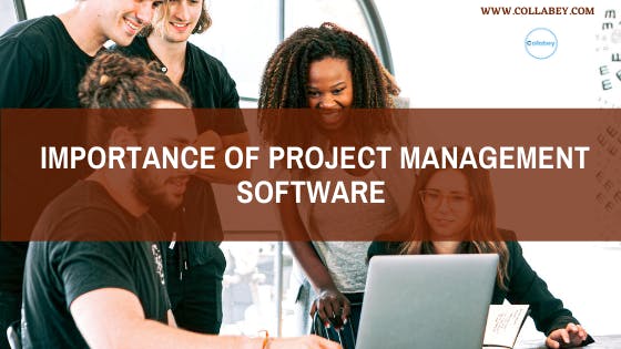 Why Is Project Management Software Important?