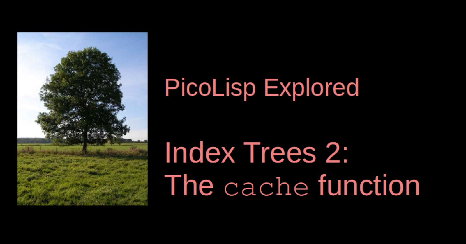 PicoLisp Explored: The cache function