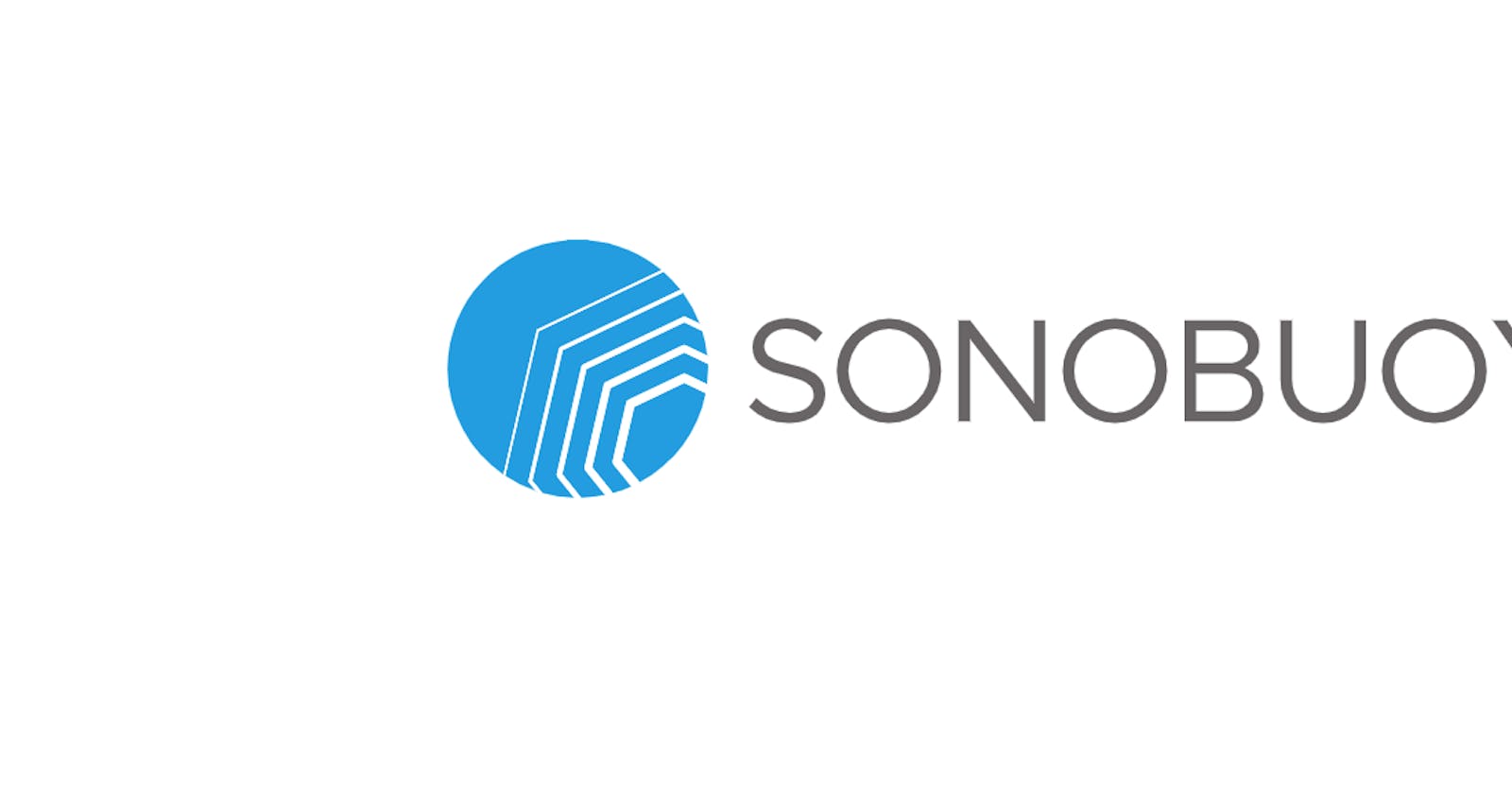 SONOBUOY : A buoy detecting state of our cluster