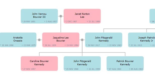 y Files kennedy-family