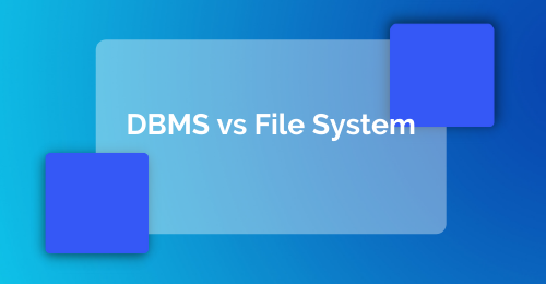 DBMS vs File System
