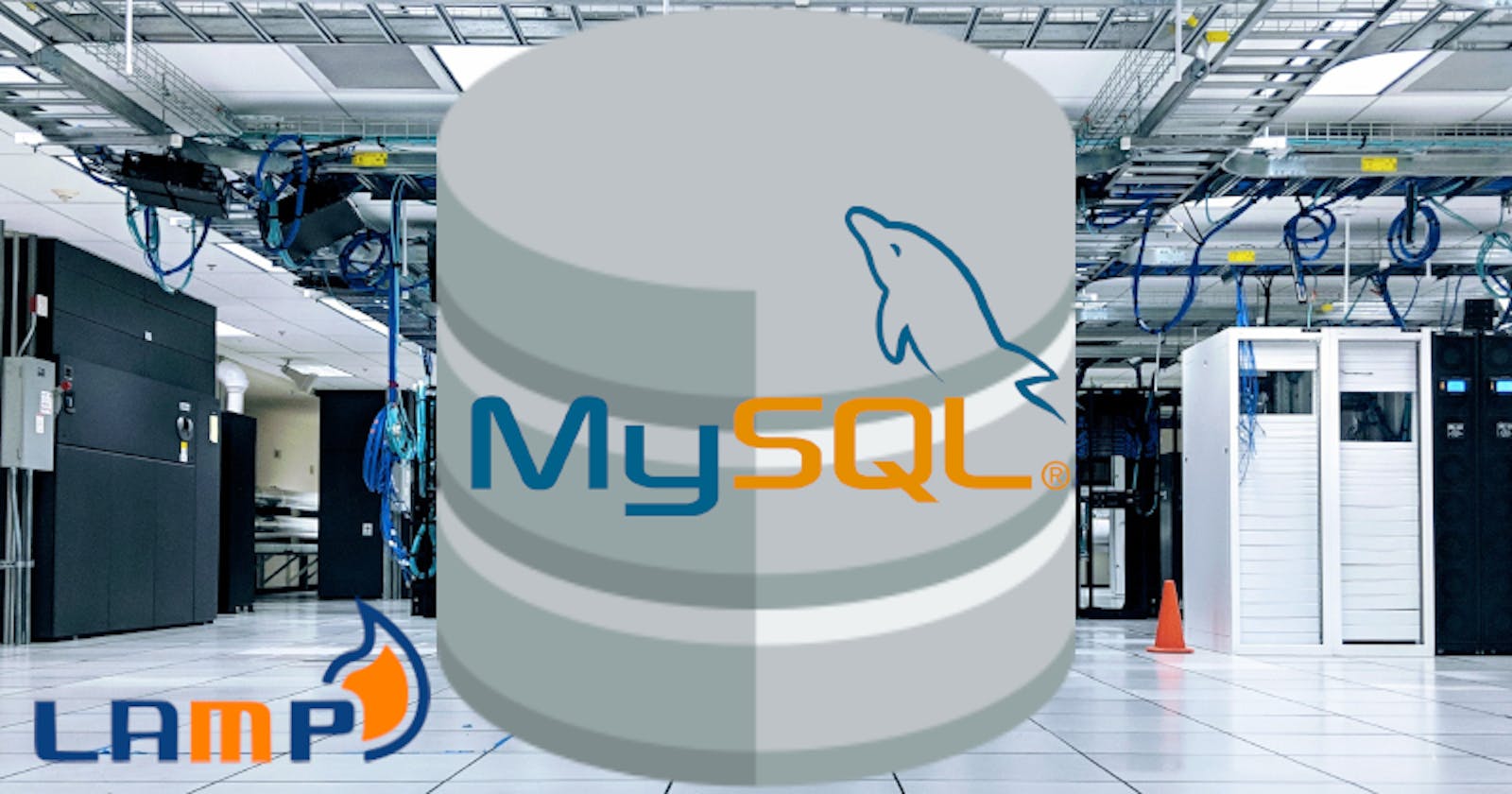 Basic Installation and Configuration of MySQL