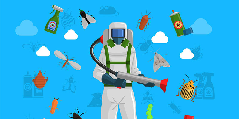 Identifying Different Types of Bugs in your Software