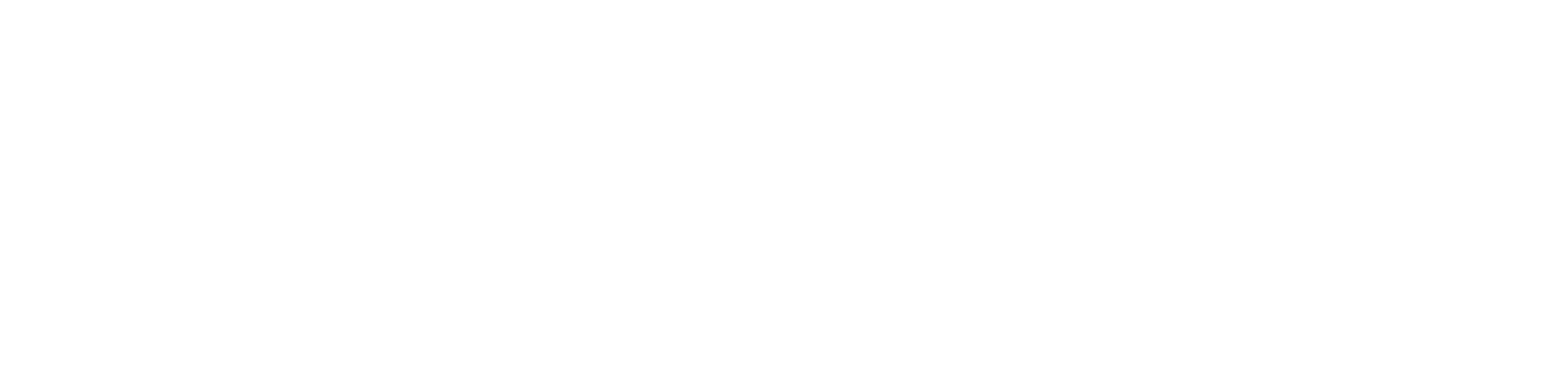 StepZen
