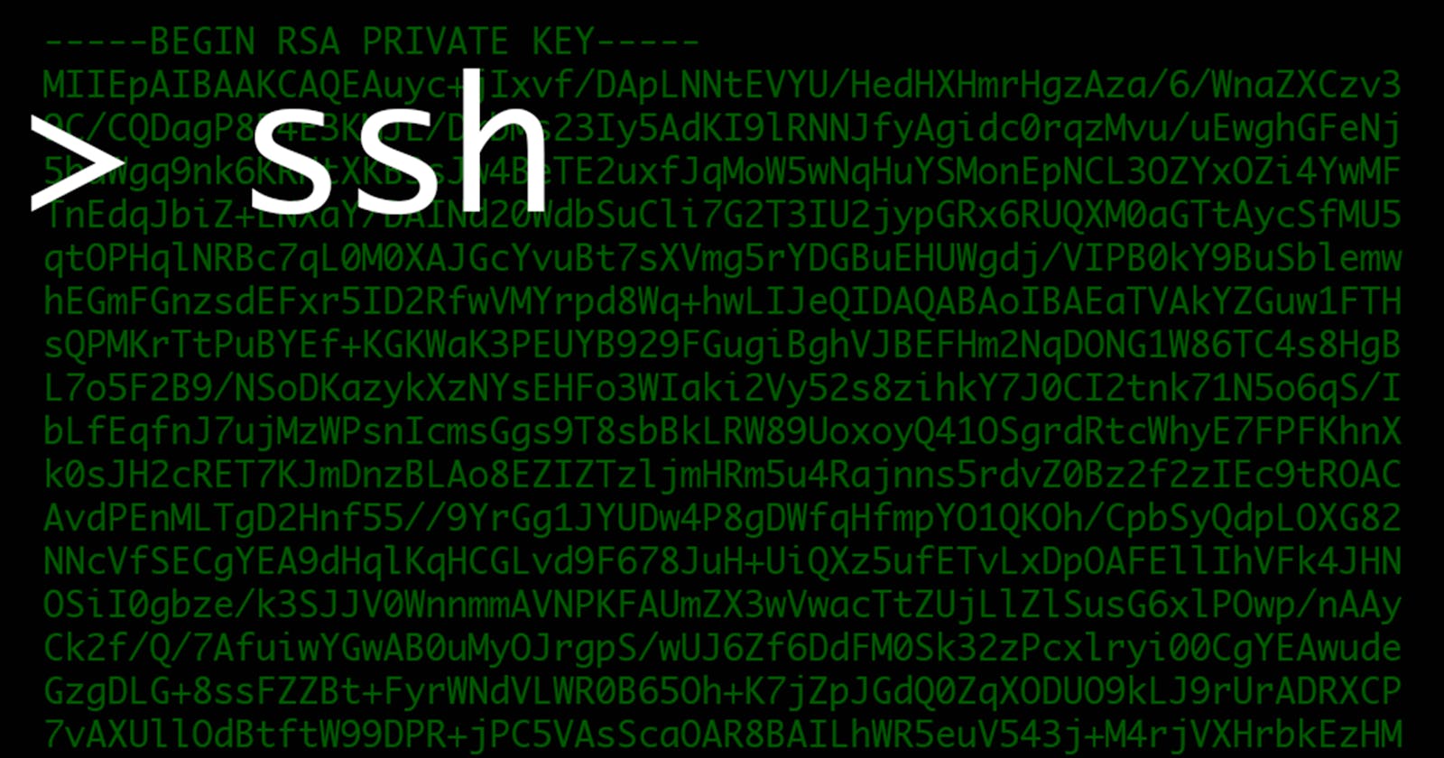 How to connect remote shell through SSH in Linux over internet?