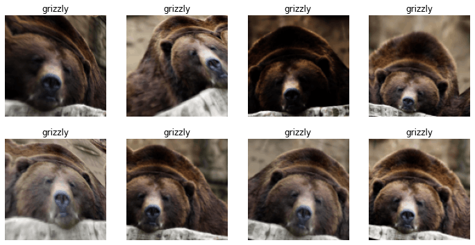 bear2.png