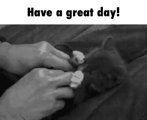 have a great Day.gif