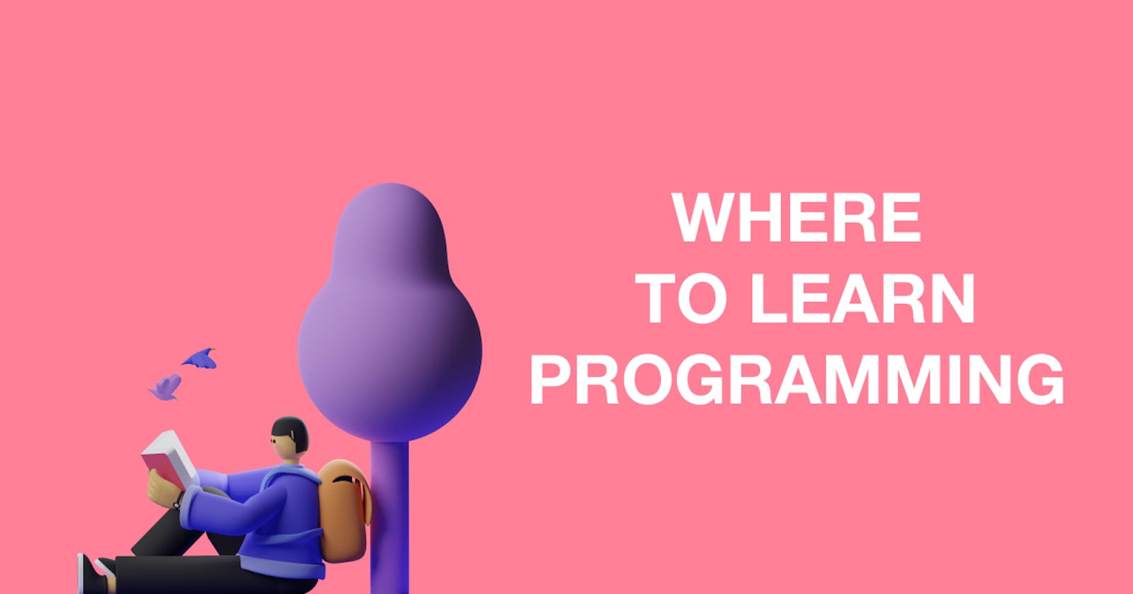 Where to learn programming Or Get New Skills?