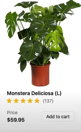product card that shows plant picture, product name and price