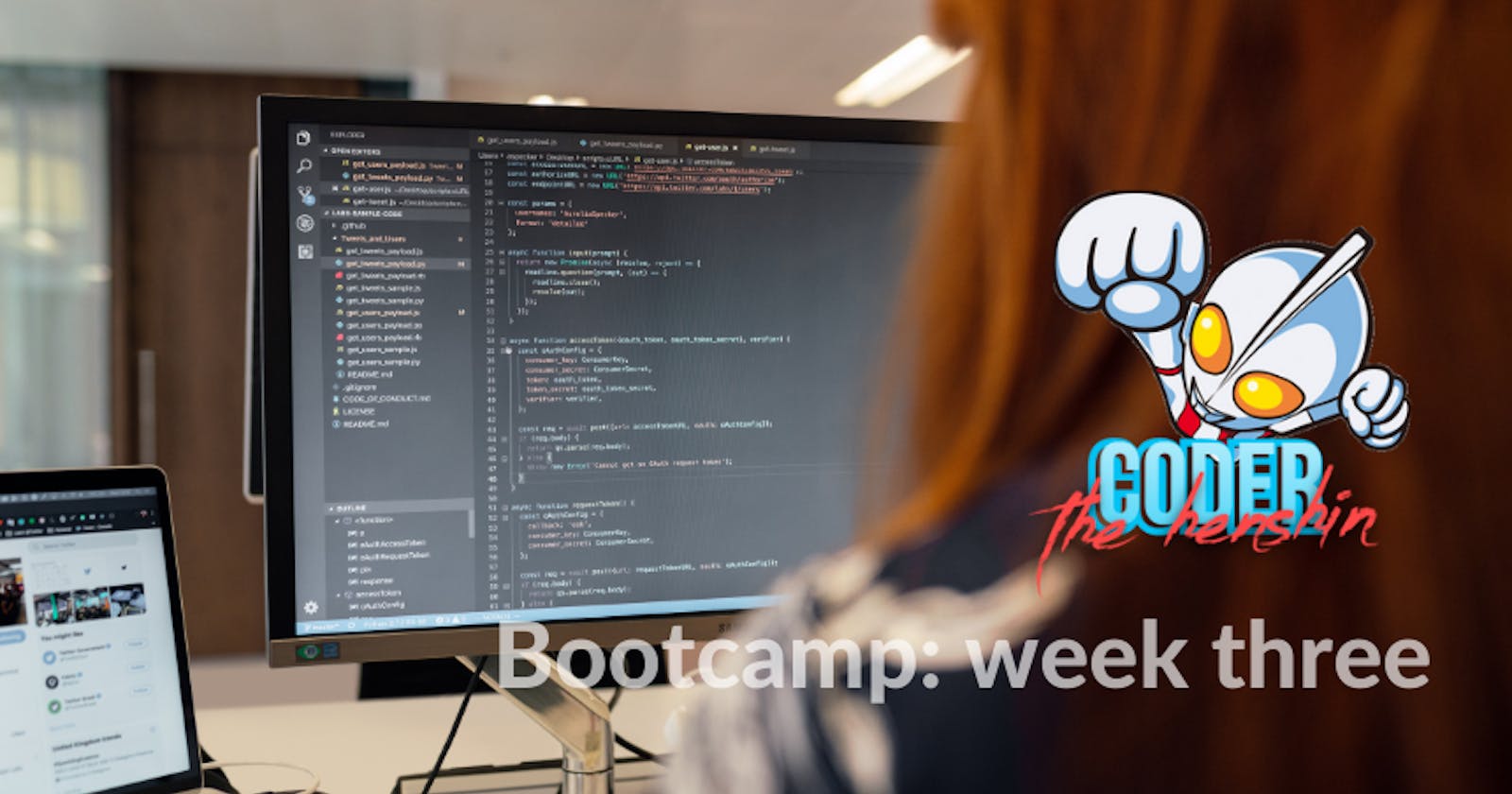 Bootcamp: week three