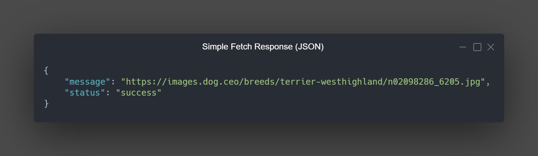 image-simple-fetch-json-response