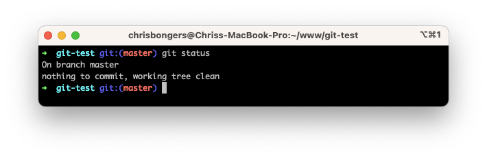 Git status clean