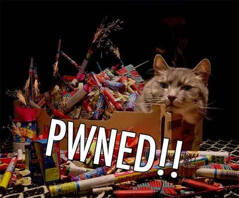 pwnd-kitty-cat.jpg