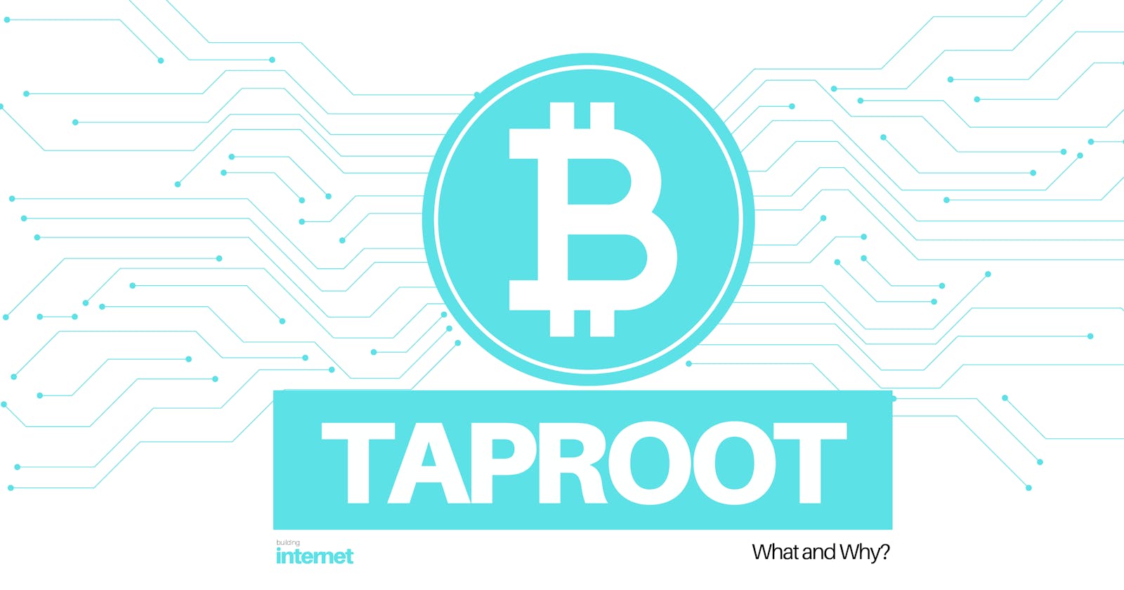 What Is Taproot? And What Do You Need to Know About It?