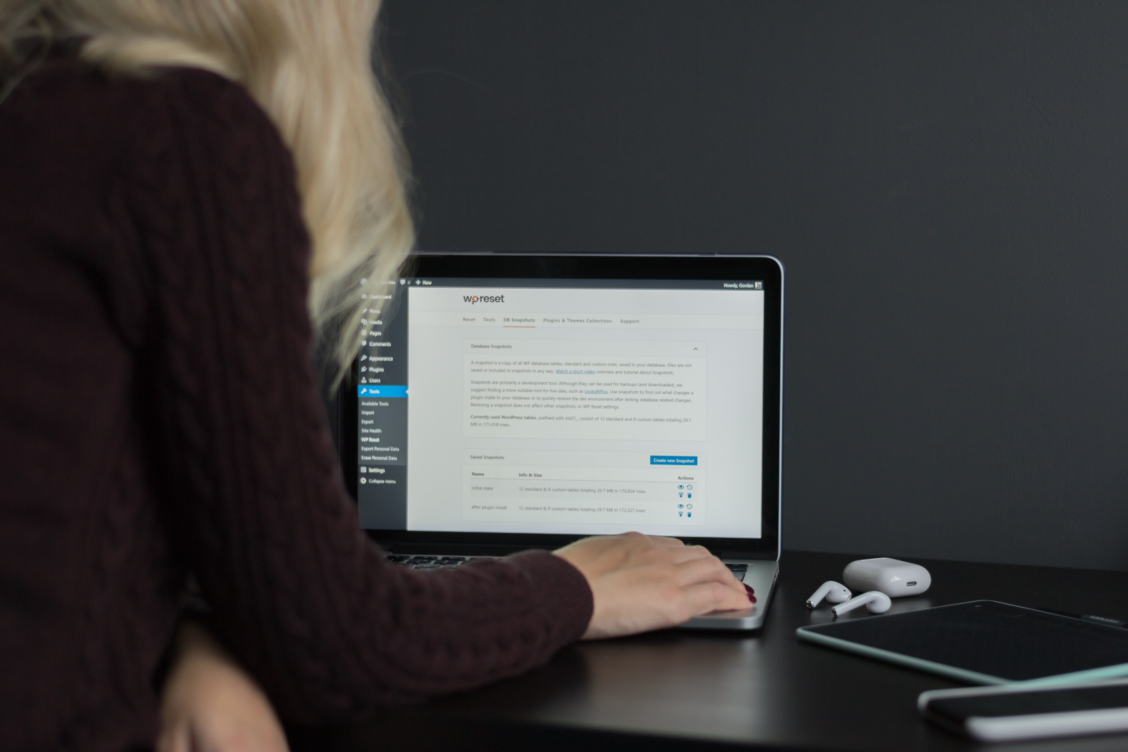 WordPress Plugins