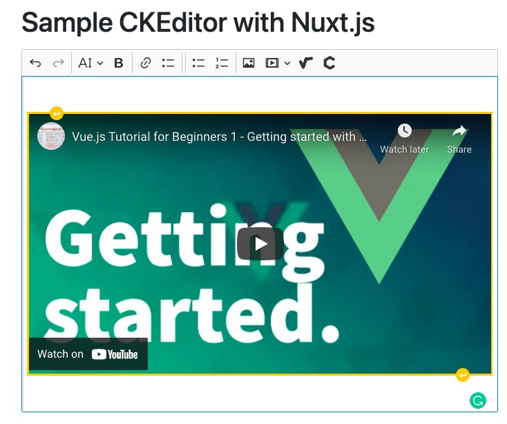 ckeditor-embed-youtube-nuxtjs.png