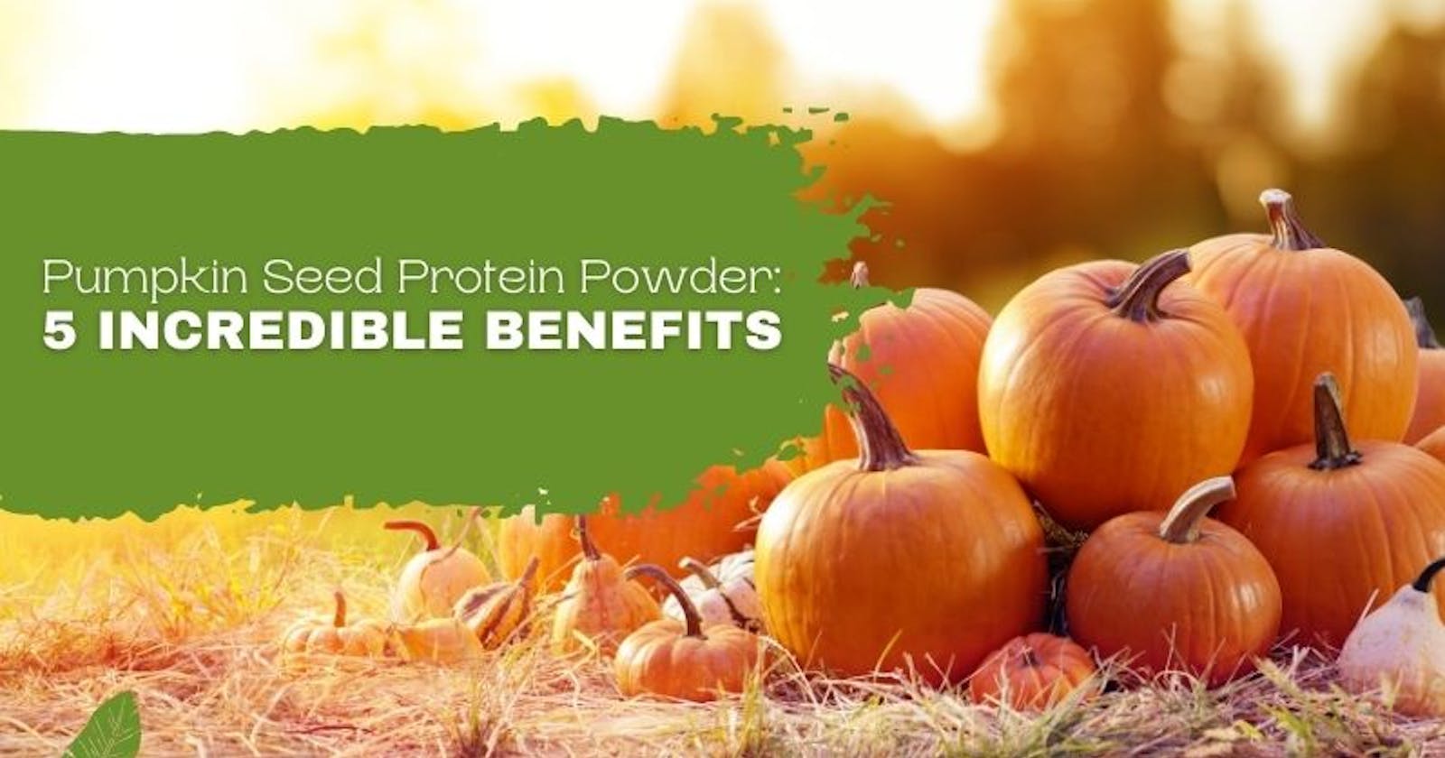 Pumpkin Seed Protein Powder: 5 Incredible Benefits
