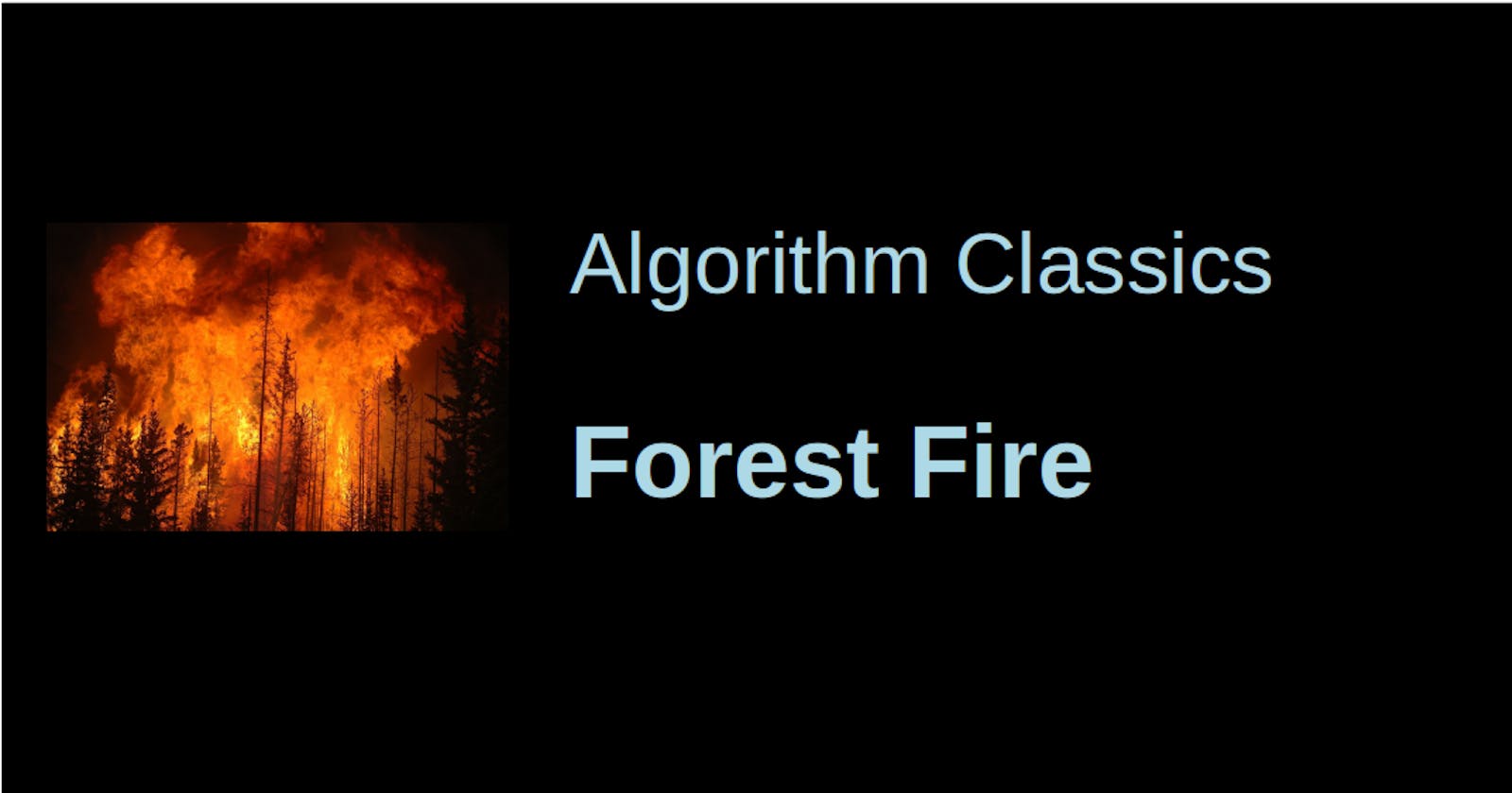 The Forest Fire Model: Let it burn!