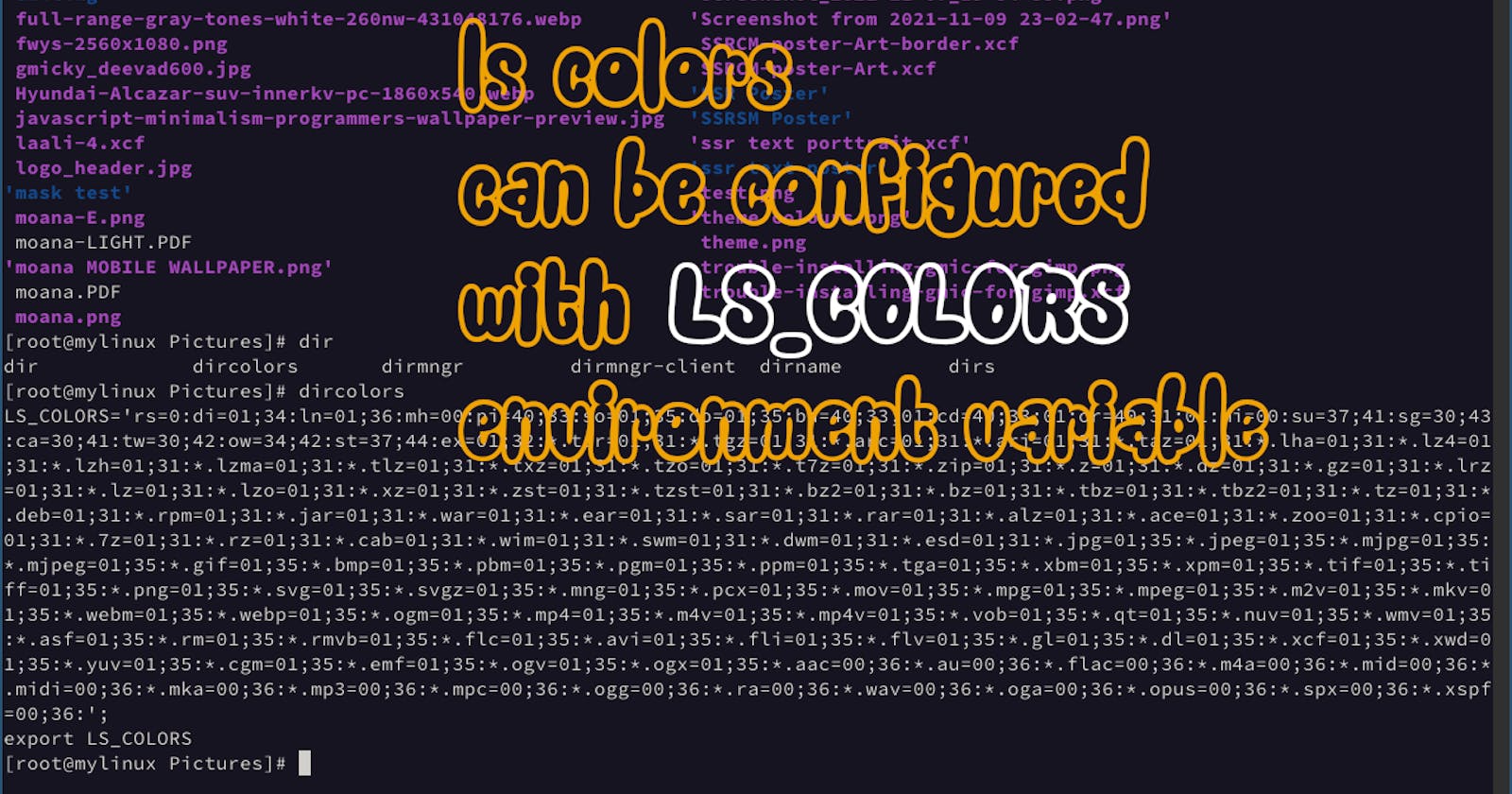 How to set colors for ls command in linux