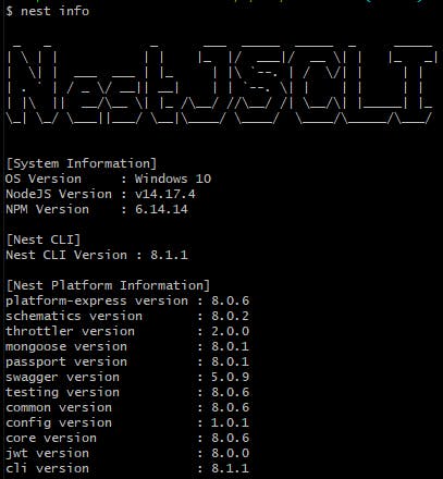 nest info in nestjs project.png