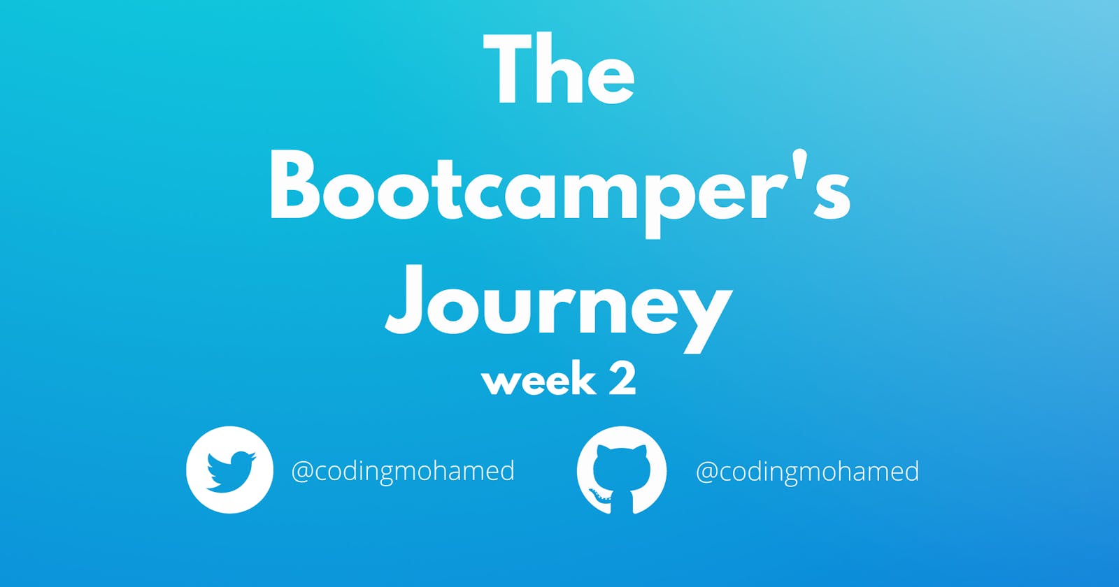 The BootCamper's Journey: Week 2