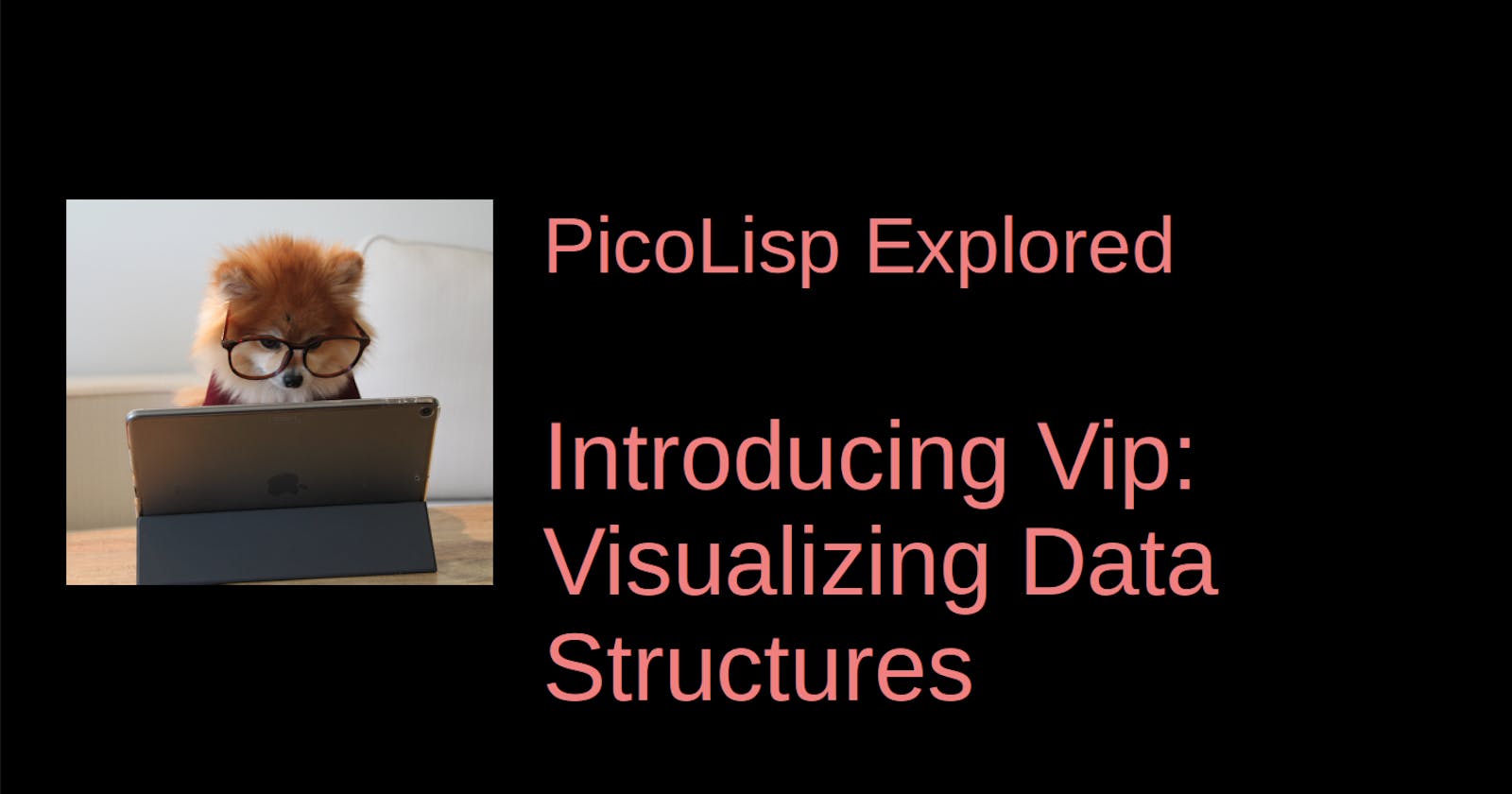 Visualizing Data Structures with Vip