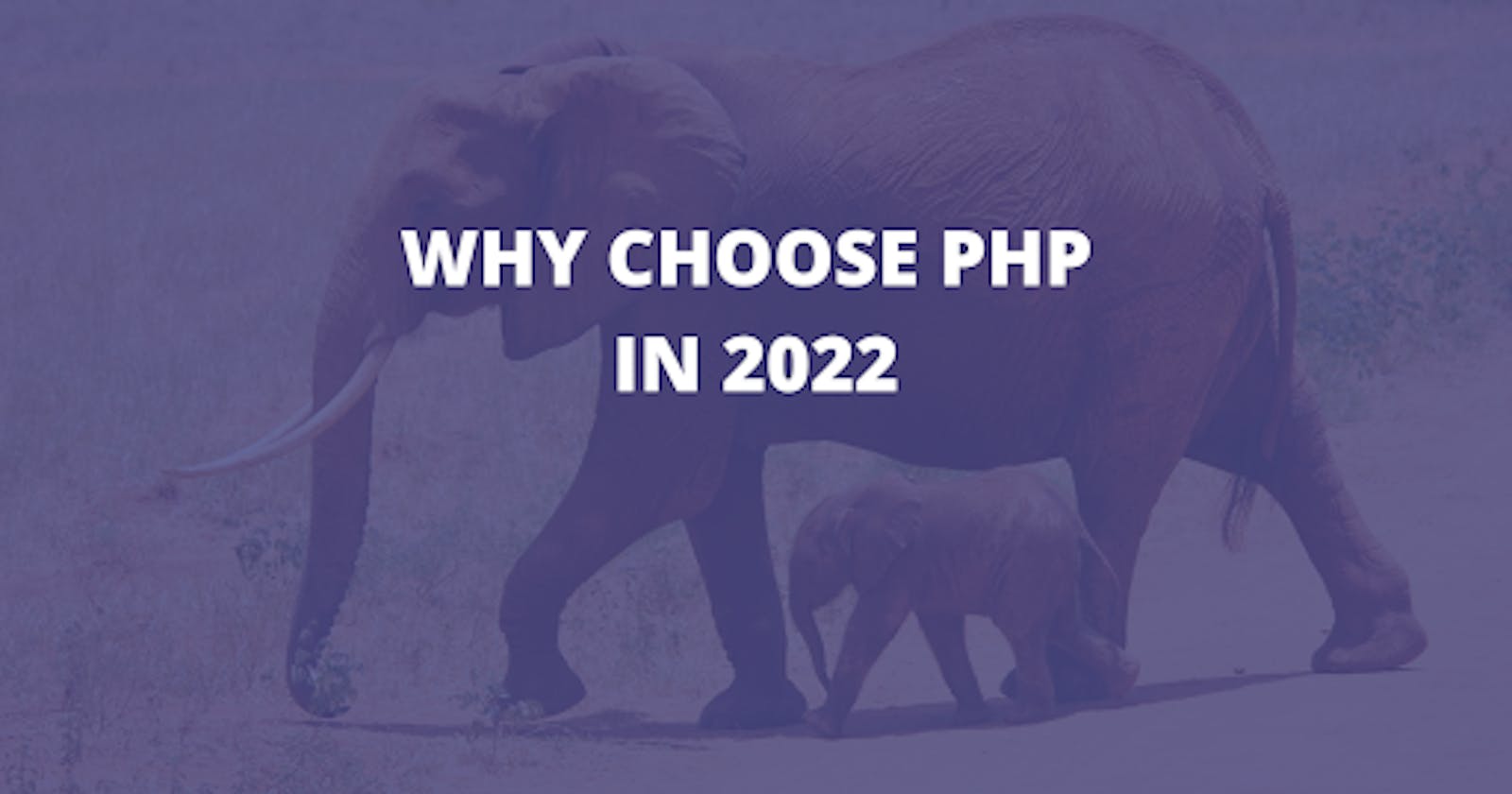 9 Reasons to Use PhP In 2022.