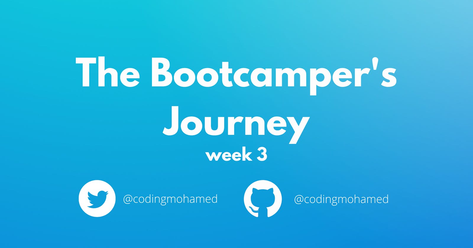 The BootCamper's Journey: Week 3