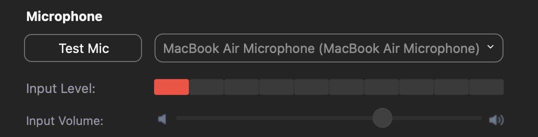 Zoom microphone settings showing low input level in a red color