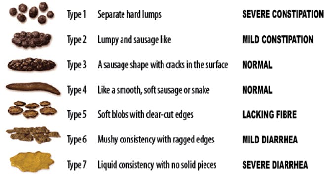 BristolStoolChart_(cropped).png