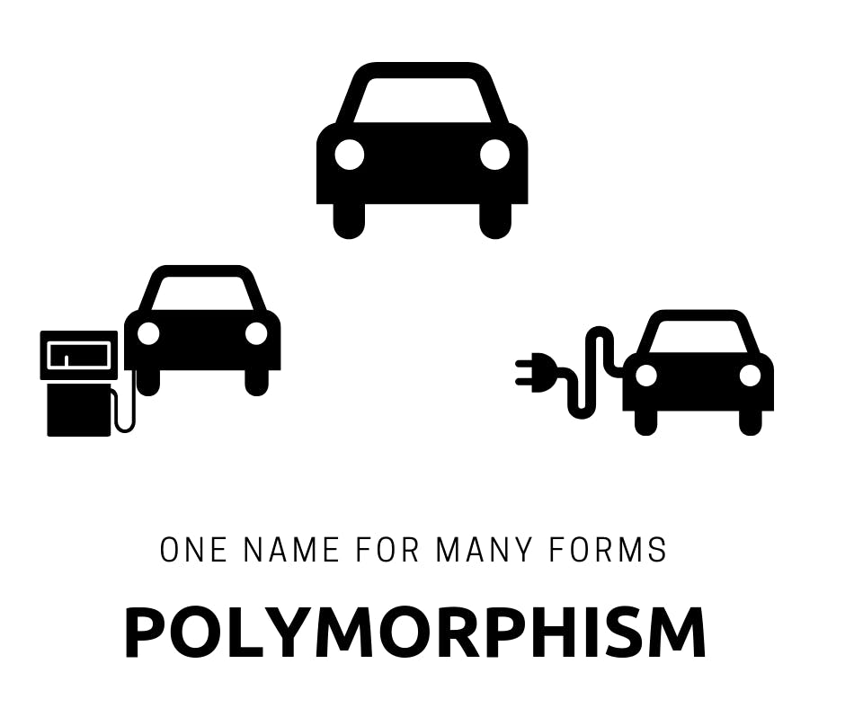 polymorphism-in-C-Sharp.png