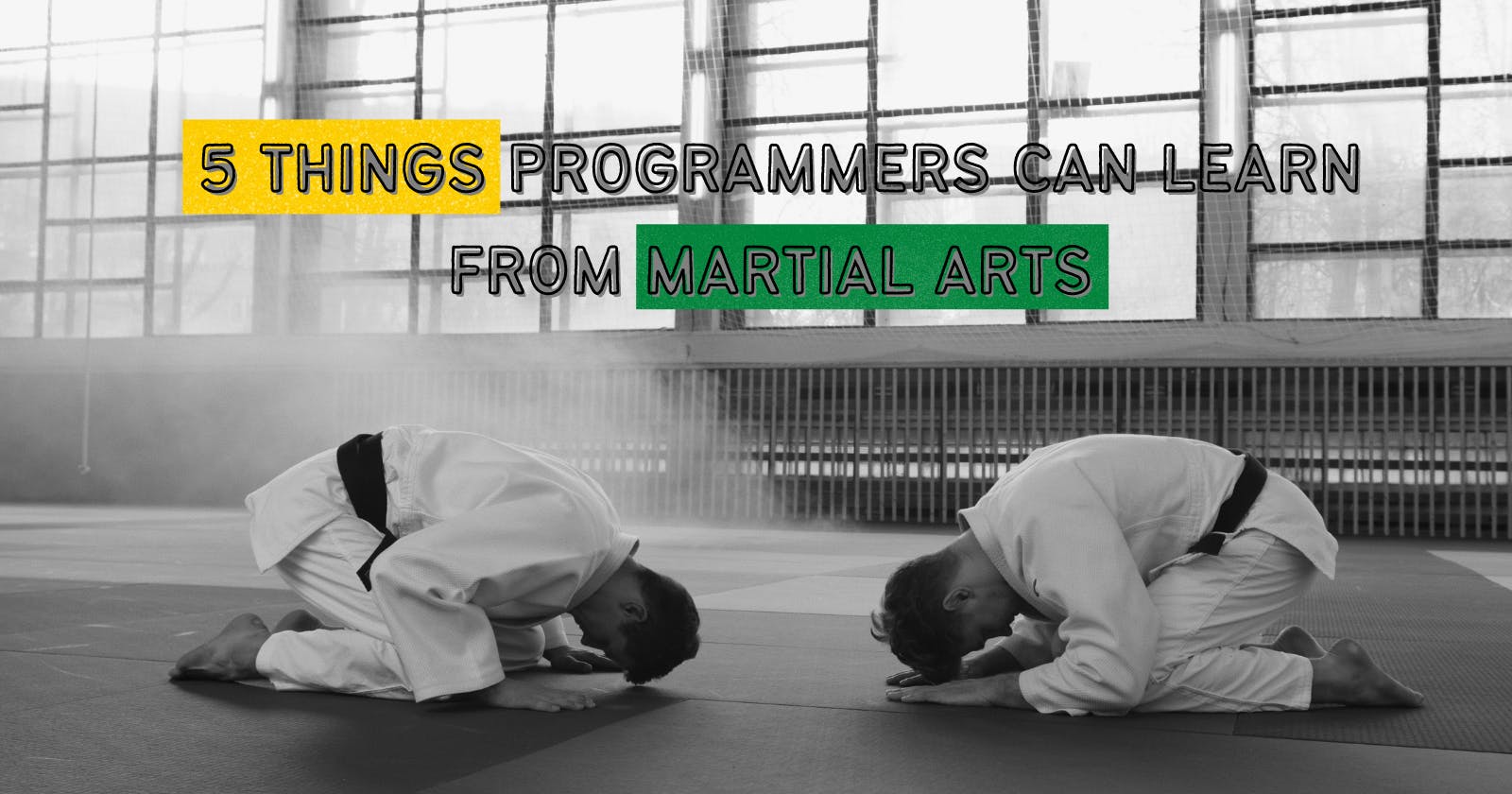 5 lessons from martial arts for we can use when learning programming.
