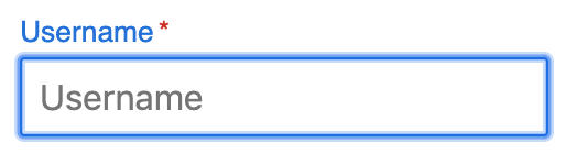 Default outline on Chrome