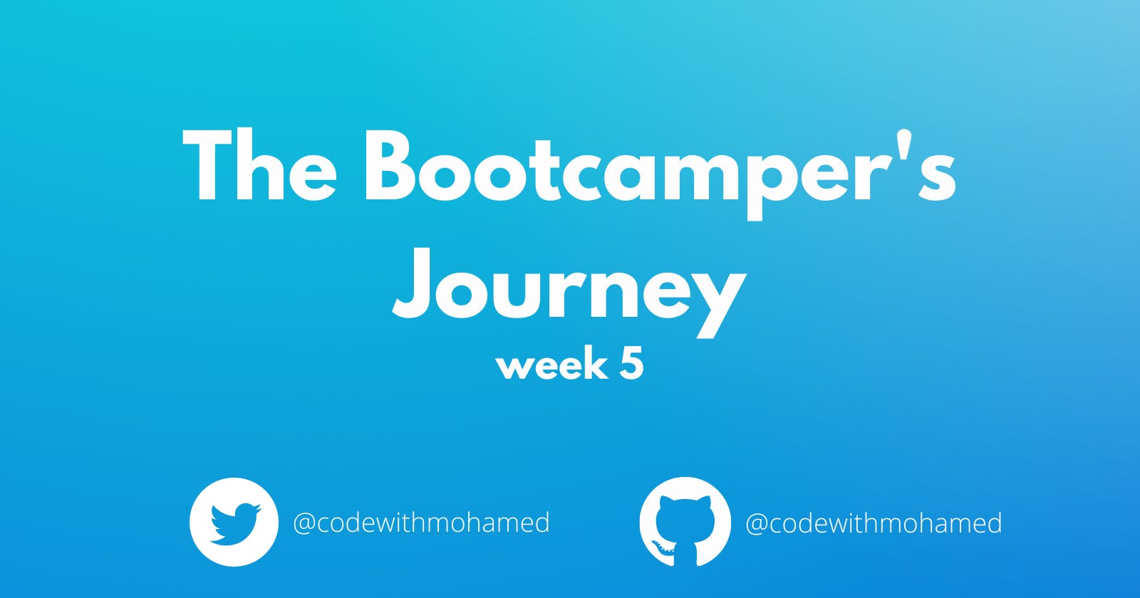 The BootCamper's Journey: Week 5