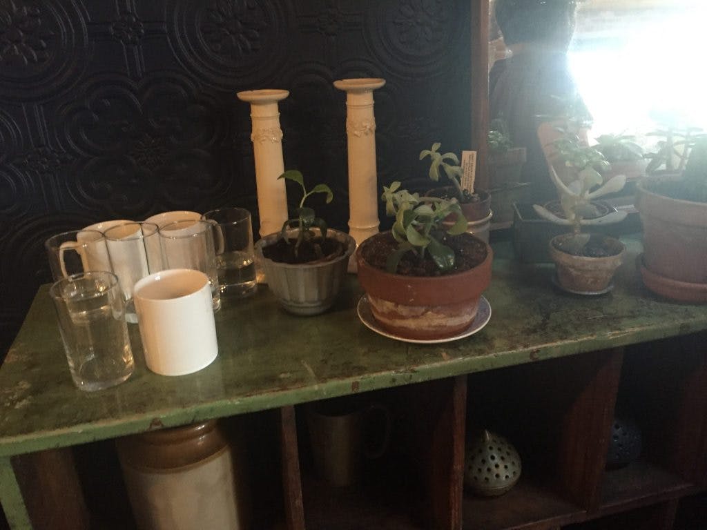 The Chimney House Interior - More Plants