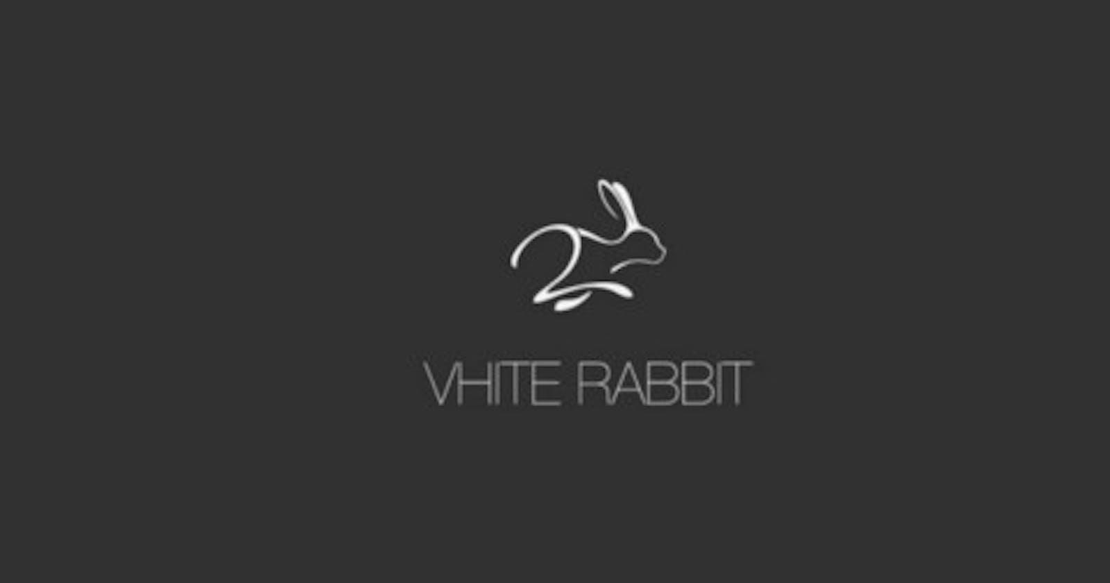 echo3D featured on Vhite Rabbit