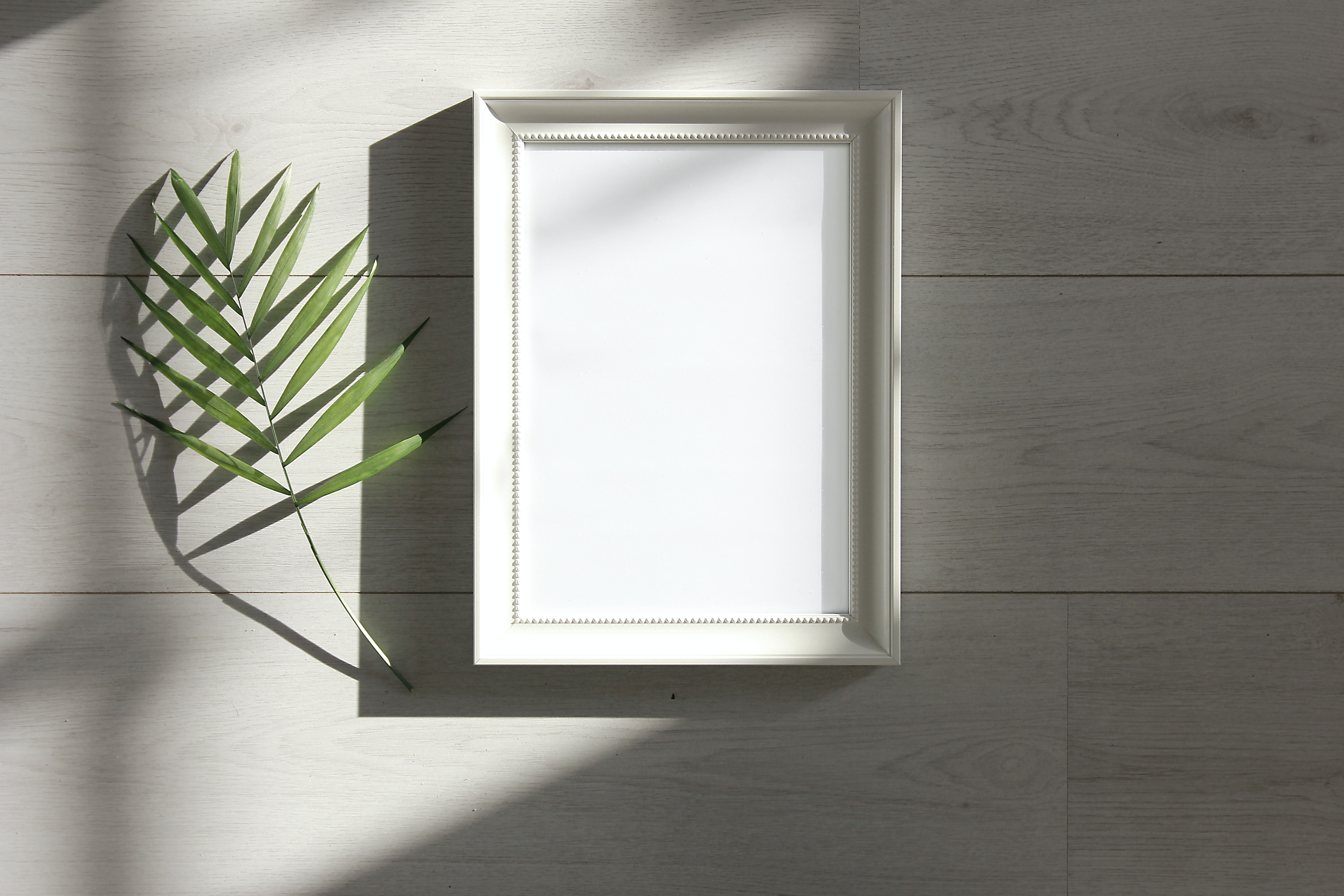 Data Frames and how to use them Part 1 - R Basics