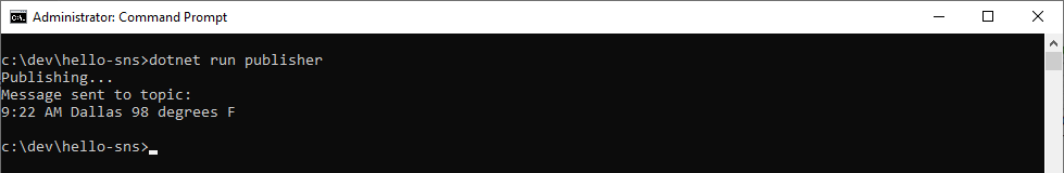 05-dotnet-run-pubilsher.png