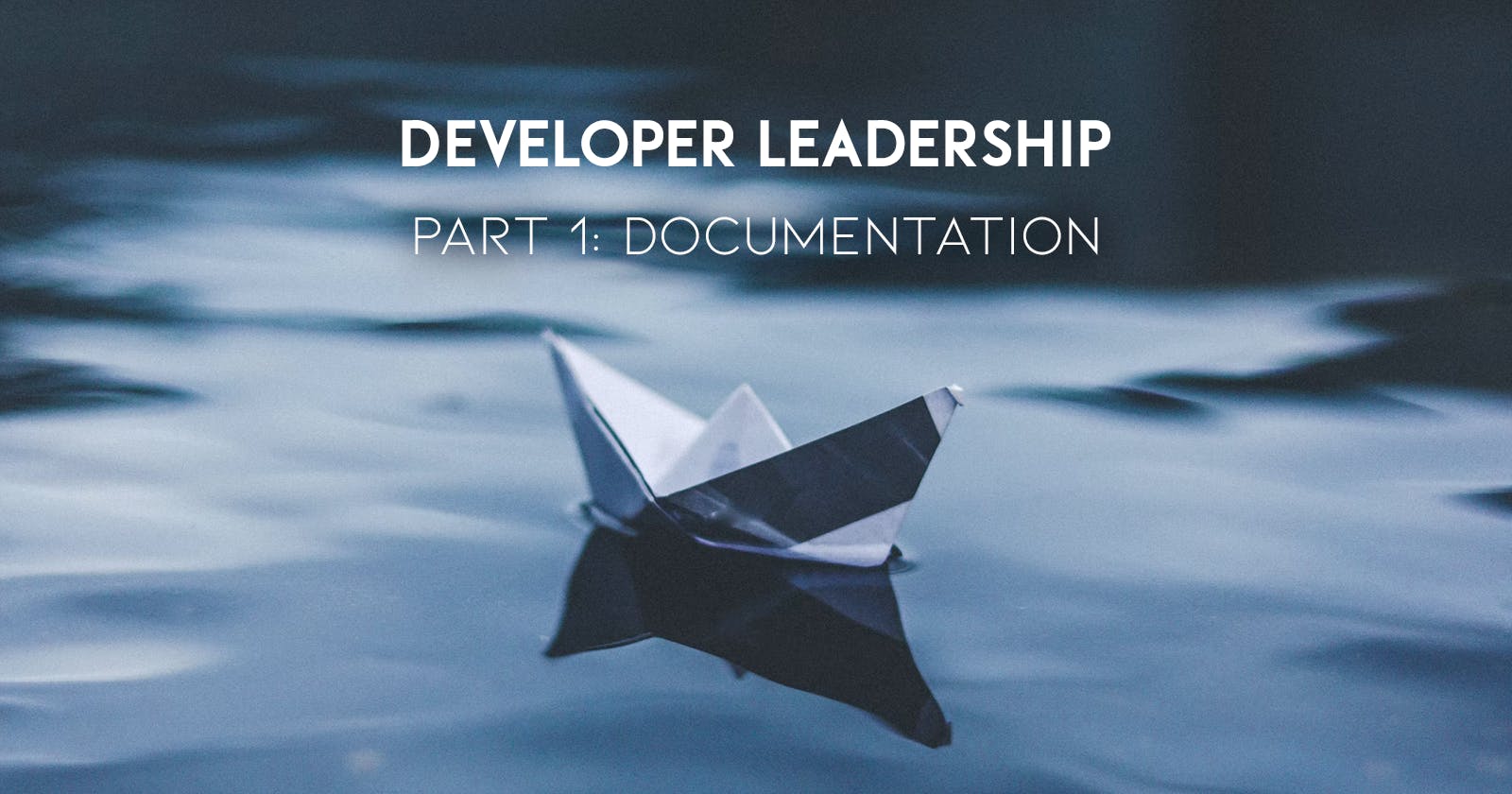 Developer Leadership